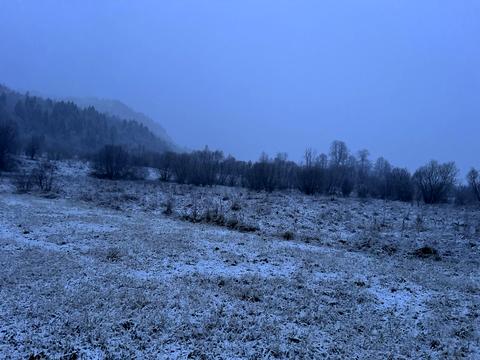 ділянка за адресою с. Довге, Тараса Шевченка вул.