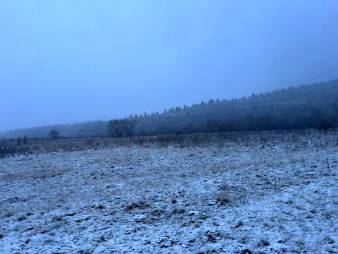 ділянка за адресою Устияновича, 64