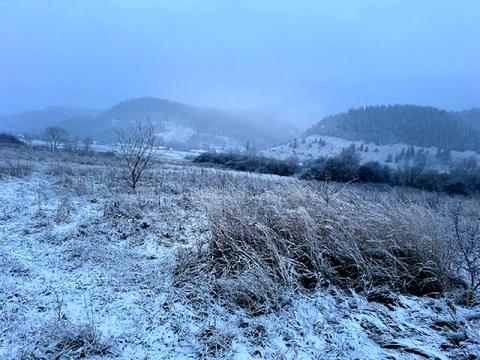 ділянка за адресою Устияновича, 64