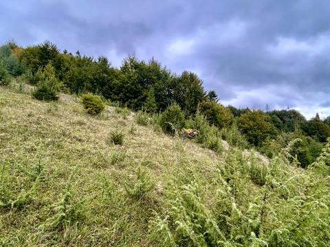 участок по адресу 