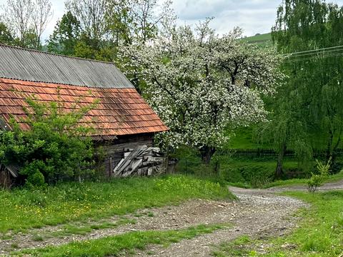 ділянка за адресою с. Гукливий, 