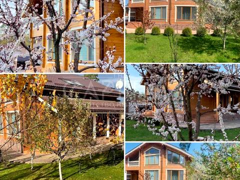 будинок за адресою Квітки Цісик вул. (Гамарника)