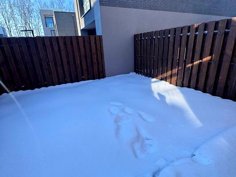 будинок за адресою Балукова вул., 5-Б