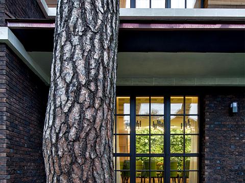 дом по адресу Ивана Карпенко-Карого ул. (Некрасова)