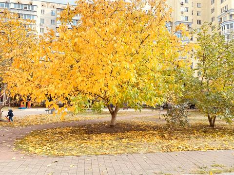 квартира по адресу Макеевская ул., 10-А