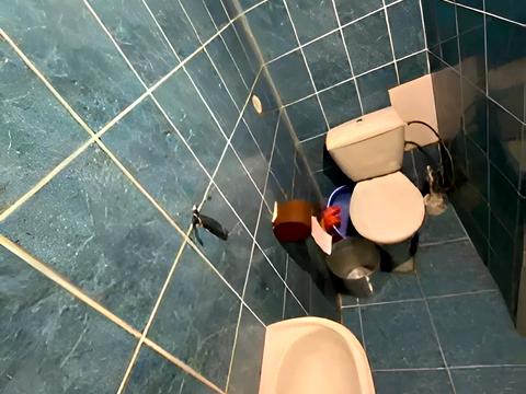 квартира по адресу Таджикская ул., 5