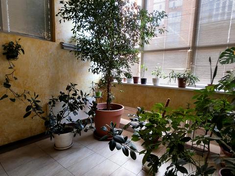 комерційна за адресою Бульвар Української добровільної армії, 2Б