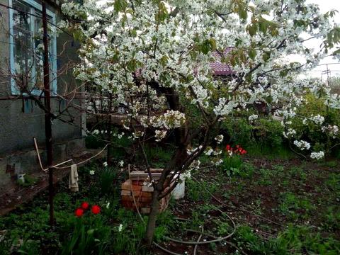 будинок за адресою Садова, 356