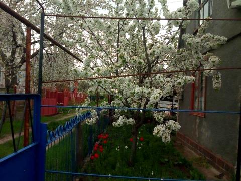 будинок за адресою Садова, 356