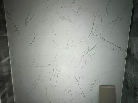 дом по адресу Ивана Поддубного ул. (Дзержинського)