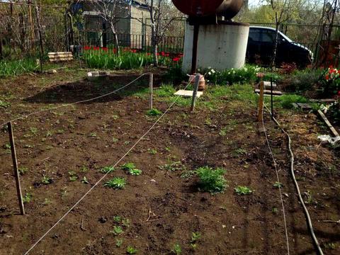 будинок за адресою Садовая