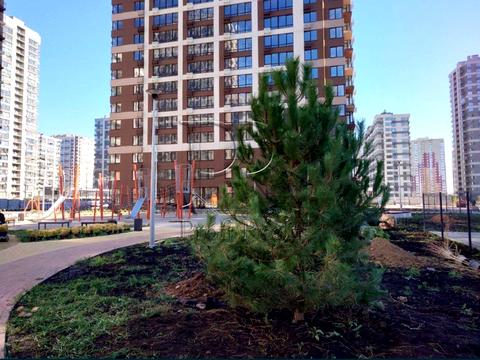 квартира за адресою Київ, Родини Крістерів вул., 16