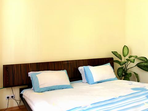 квартира по адресу Михайловский пер., 9-Б