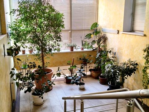 коммерческая по адресу Шевченко пер., 2Б