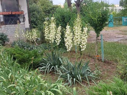 квартира за адресою Владислава Бувалкіна вул. (Бочарова Генерала), 57-А