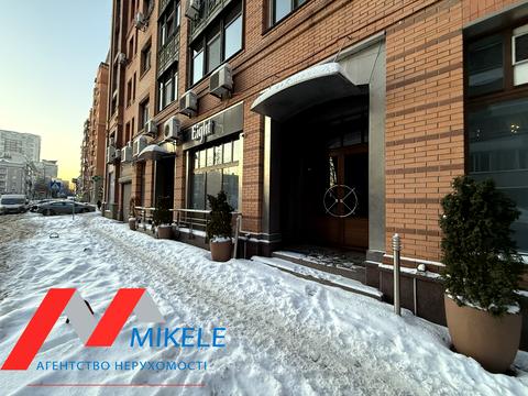 комерційна за адресою Київ, Панаса Мирного вул., 8