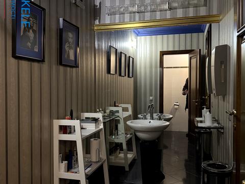 комерційна за адресою Київ, Панаса Мирного вул., 8