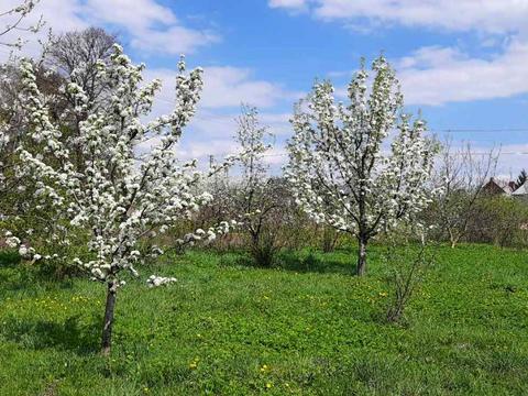 дом по адресу Романа Сушко ул.