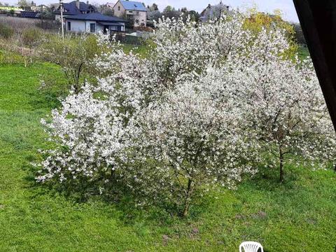 дом по адресу Романа Сушко ул.