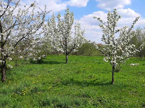 дом по адресу Романа Сушко ул.