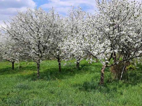 дом по адресу Романа Сушко ул.