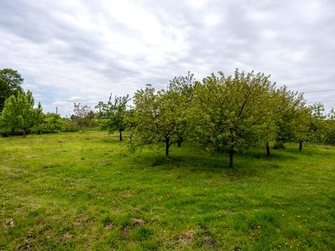 дом по адресу Романа Сушко ул.