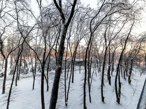 квартира по адресу Берестейский просп. (Победы), 42а