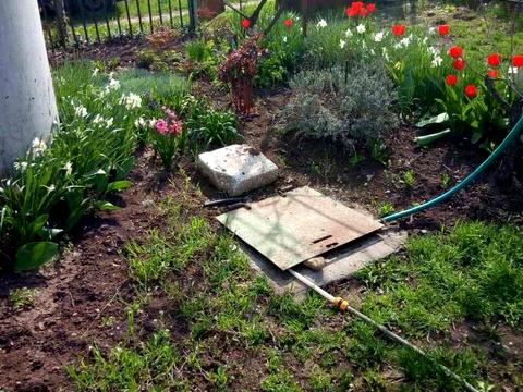 будинок за адресою с. Доброолександрівка, садова