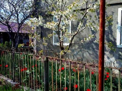 будинок за адресою с. Доброолександрівка, садова