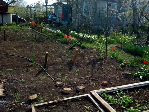 будинок за адресою с. Доброолександрівка, садова