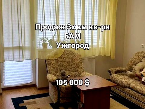 квартира за адресою Ужгород, Мальовнича вул., 3