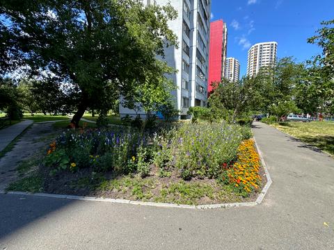 квартира за адресою Райдужна вул., 5