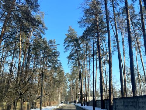 дом по адресу Лучшая ул. (Ломоносова), 33