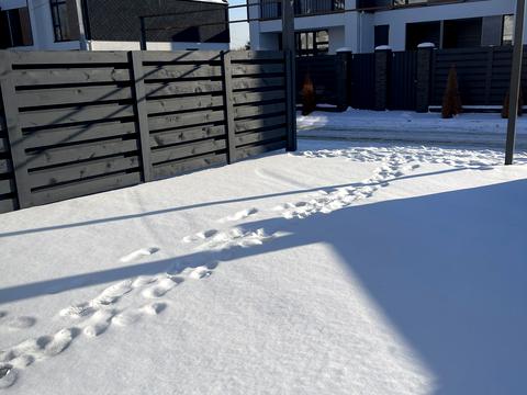 дом по адресу Лучшая ул. (Ломоносова), 33