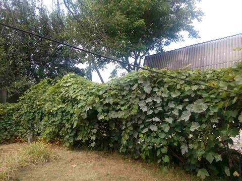 будинок за адресою Мрія, 2