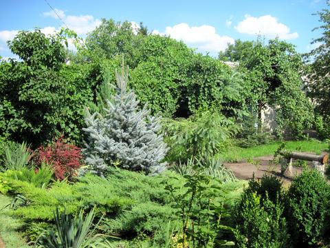 будинок за адресою Мрія, 2