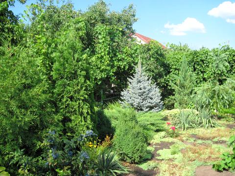 будинок за адресою Мрія, 2