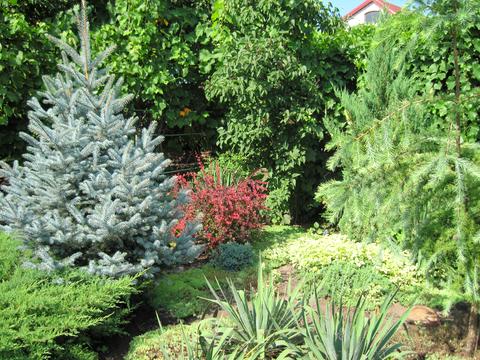 будинок за адресою Мрія, 2