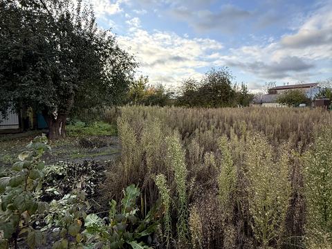 ділянка за адресою Франка вул.