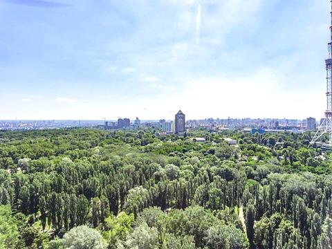 комерційна за адресою Олени Теліги вул., 25