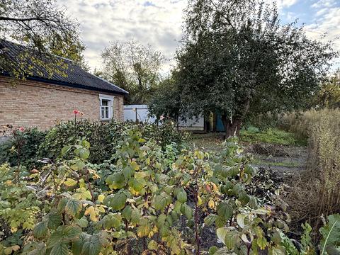 ділянка за адресою Франка вул.