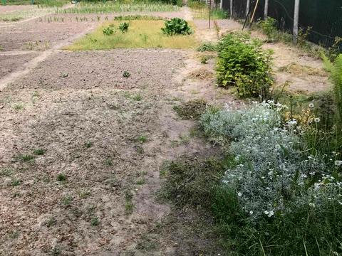 ділянка за адресою Франка вул.