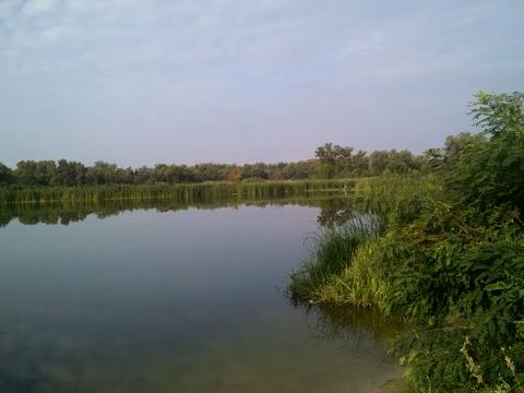 будинок за адресою Мрія, 2