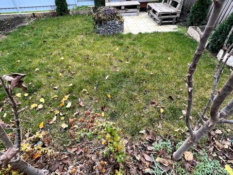 дом по адресу Вербна