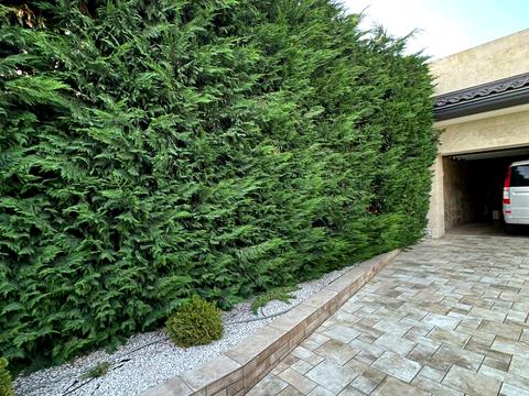 будинок за адресою Чорноморський проспект