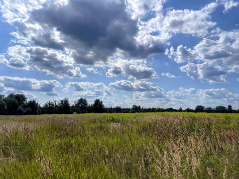 участок по адресу 