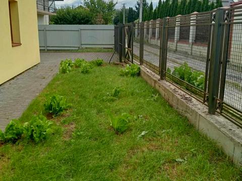 дом по адресу Петра Сагайдачного ул.