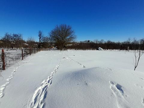 ділянка за адресою с. Лука-Мелешківська, Дорошенка
