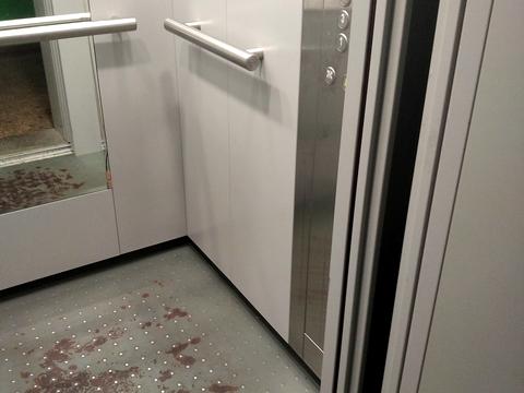 квартира за адресою Юрія Литвинського вул. (Російська), 84