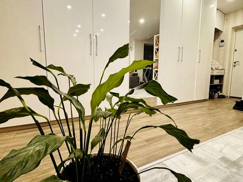 квартира по адресу Радужная ул., 98